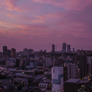 免费观看已满十八岁电视剧直播抖音
