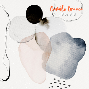 免费观看已满十八岁电视剧直播抖音
